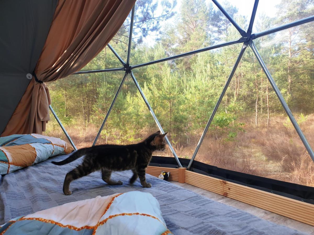 Podniebny Glamping Hotel Borsk Bagian luar foto